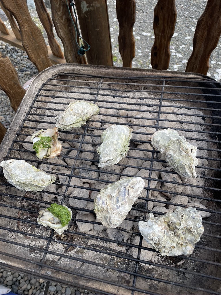 BBQ Oysters Hood Canal