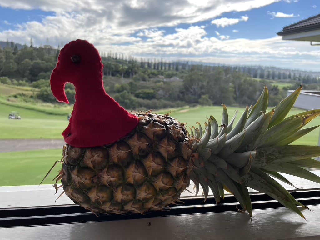 Maui Thanksgiving