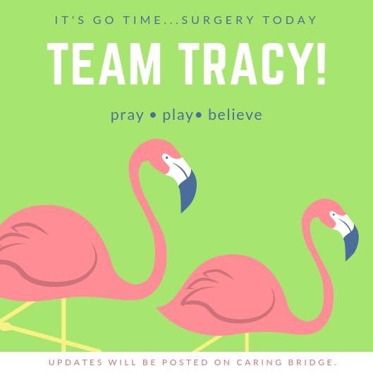 Team Tracy Logo with Flamingos